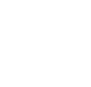 Trikot Icon